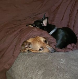 Meet your Posher, Diane